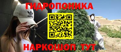 шишки Бугуруслан