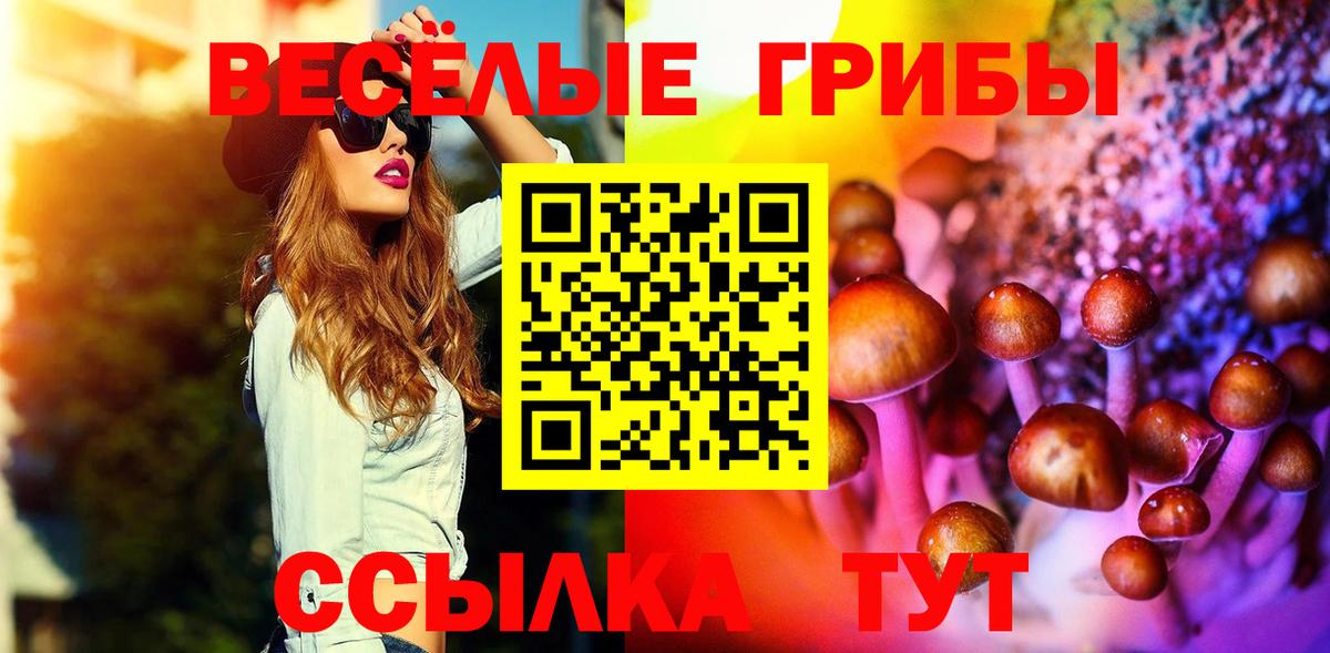 купить закладку  Галлюциногенные грибы прущие грибы  Вход с VPN  Северобайкальск 